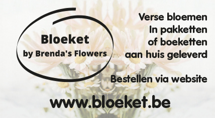 Bloeket