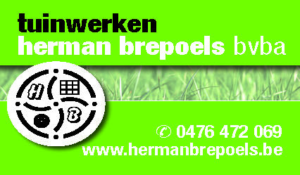 Herman Brepoels